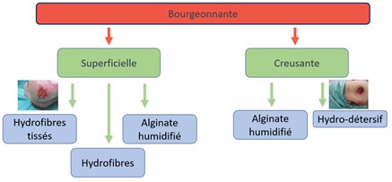 Prise en charge d'un escarre : bourgeonnante