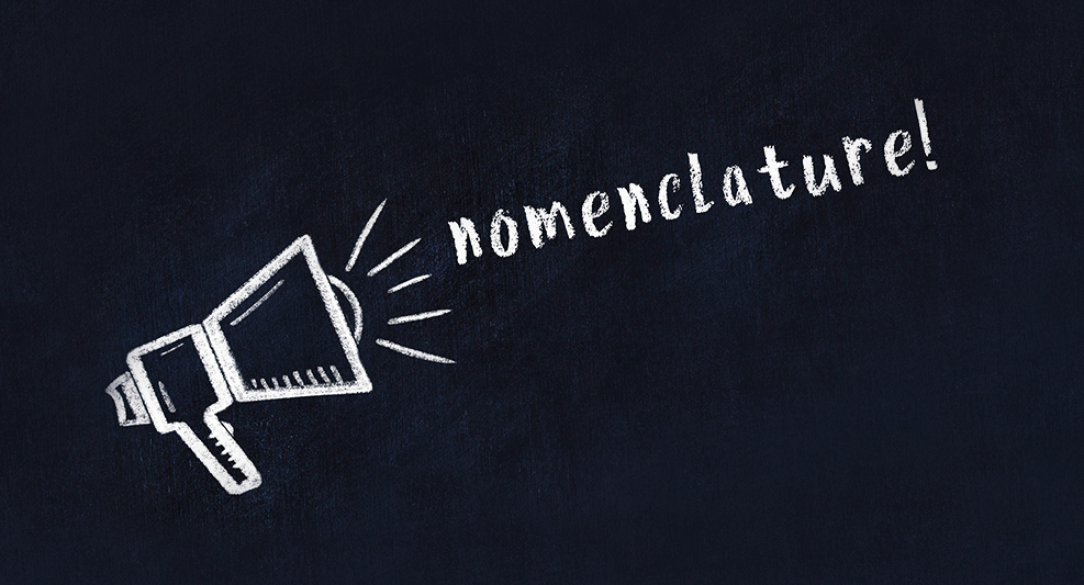 Nomenclature infirmière : 5 choses, à savoir quand on débute en libéral