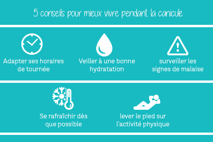 conseils pour survivre pendant la canicule