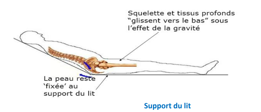 Position allongée